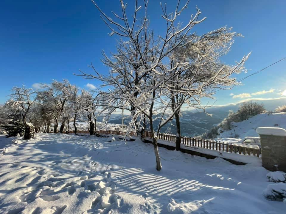 IvanGaidarov's tweet photo. #Winter scenery from the village of #Zasele in the gorgeous #Iskar river gorge, 50 kilometers from Sofia, the capital of #Bulgaria 🇧🇬

It is beautiful, despite the devastation of the trees by the icy rain a few days ago ❄️

📷 Bojilovo Complex https://t.co/MLaHfMh5rF