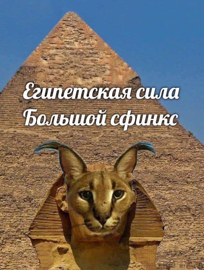 ErxrqsuXAAIb_Fr?format=jpg&name=900x900