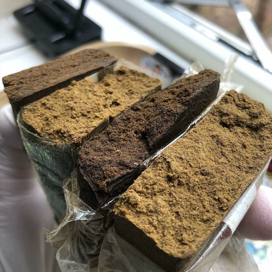 DavidPo89319817's tweet photo. Juste pour👇🌿
Télégram :https://t.co/RfLNwDcduL
Snap//pharly420
👌.#Montréaleau #weed #beuh #shit #cocaine #drogue #Alma #Princeville #Sherbrooke #Québec #citation #Annecy_live  #meditation #Montpellier #hautsdefrance #rastabot #hash #drogue #Alma #Princeville #Sherbrooke #Liele https://t.co/7UqOr9Ar5n