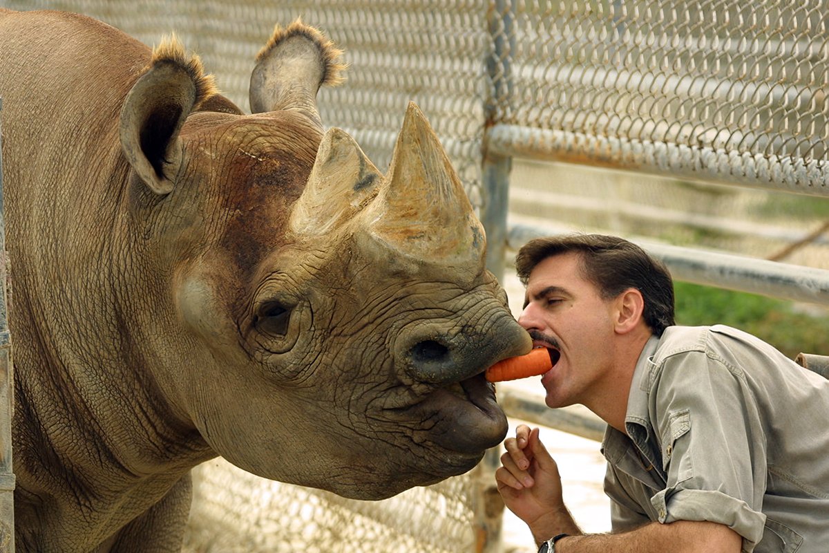 RonMagill's tweet photo. I have had the privilege of knowing and working with "Toshi," the black rhino for over 35 years.  He was the most amazing rhino I have ever known.  Though he lived to be the 2nd oldest black rhino in the world, his death has devastated me. https://t.co/XbVvaFzPxf