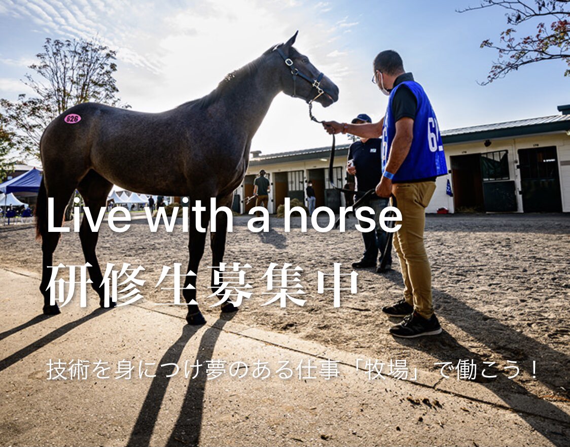 JNmgVRChxth7516's tweet photo. 馬業界��働いてみたい！
馬の馴致を勉強したい！
初心者の方も大歓迎です。興味のある方は是非お問い合わせください
https://t.co/gTIPdA8HGL https://t.co/ZwZ8cLlvrT