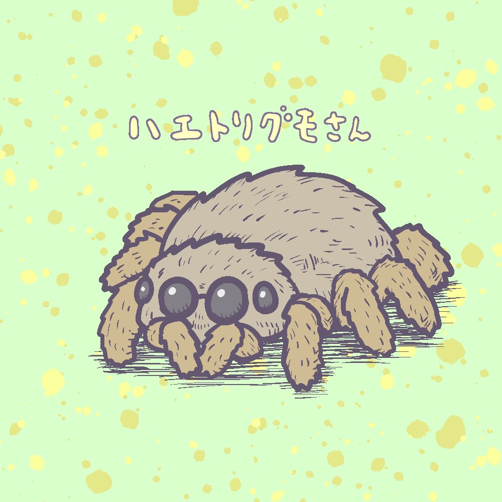 Mumumumumum ハエトリグモさん 実はフサフサしてて 目がパッチリしててかわいいのです ハエトリグモ イラスト Illustration T Co Op7yckqxnw Twitter