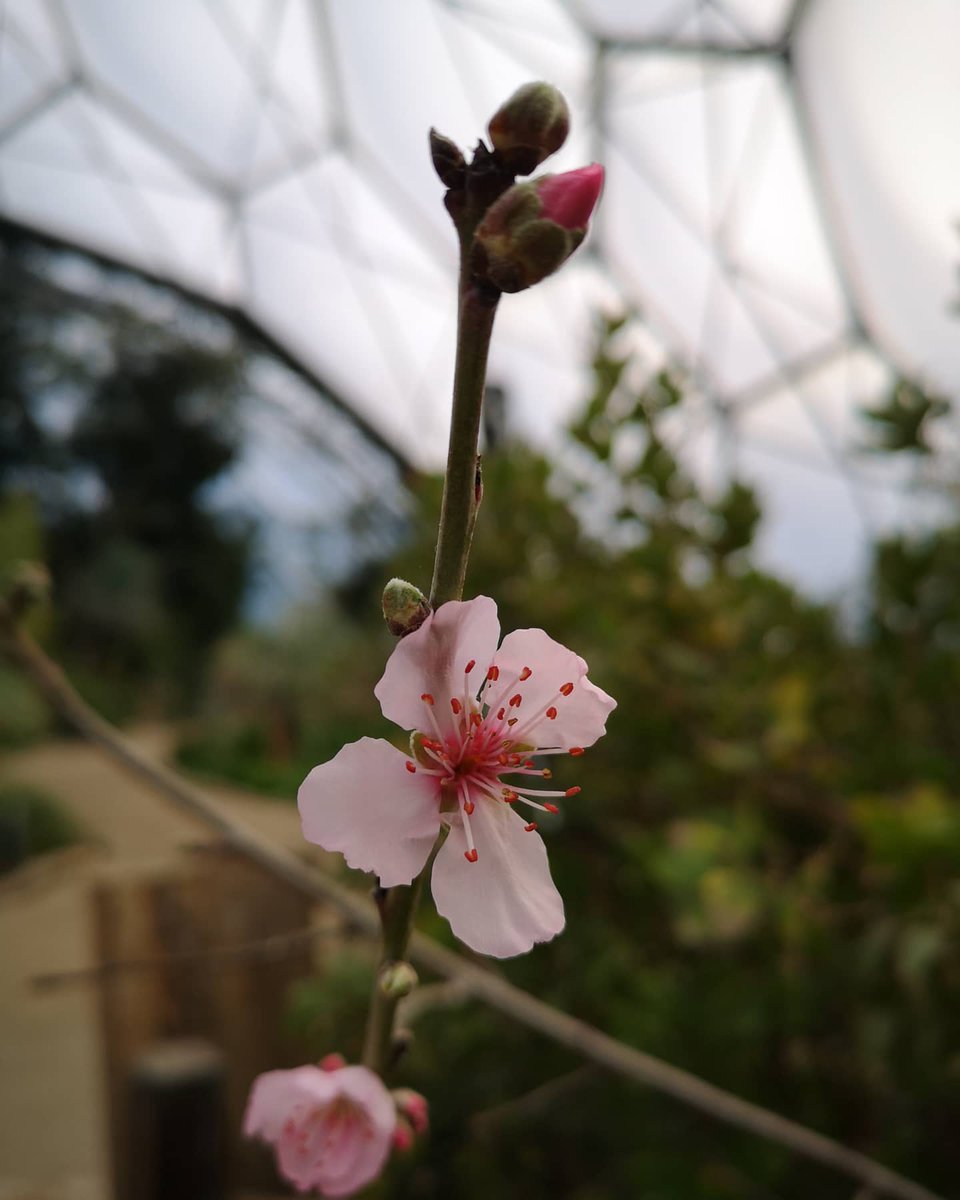 Mark Matthews tweet media