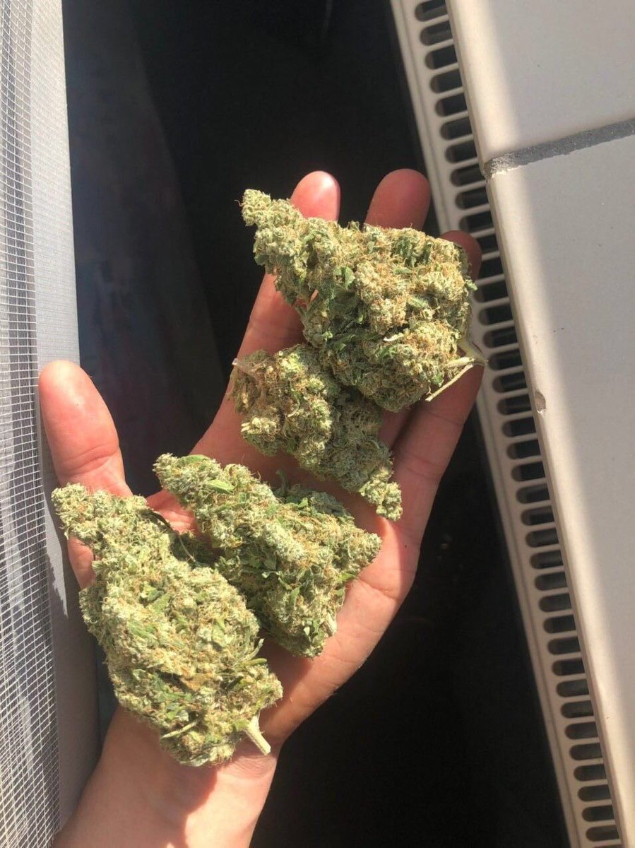 DavidPo89319817's tweet photo. Livraison🌿👇fiable rapide
Snap//pharly420
Telegram:https://t.co/RfLNwDcduL
#nice #money #joint #weed #Paris #weedfrance #FranceVerte #cannabisindustry #Bomboclaat #Bordeaux #Lyon #sainteti
#Annecy_live #beuh #rastabot #livraison
#4tchat #proverbe #calais #brest #uk #Lyon12 #Nice https://t.co/gVfdIZOmMj