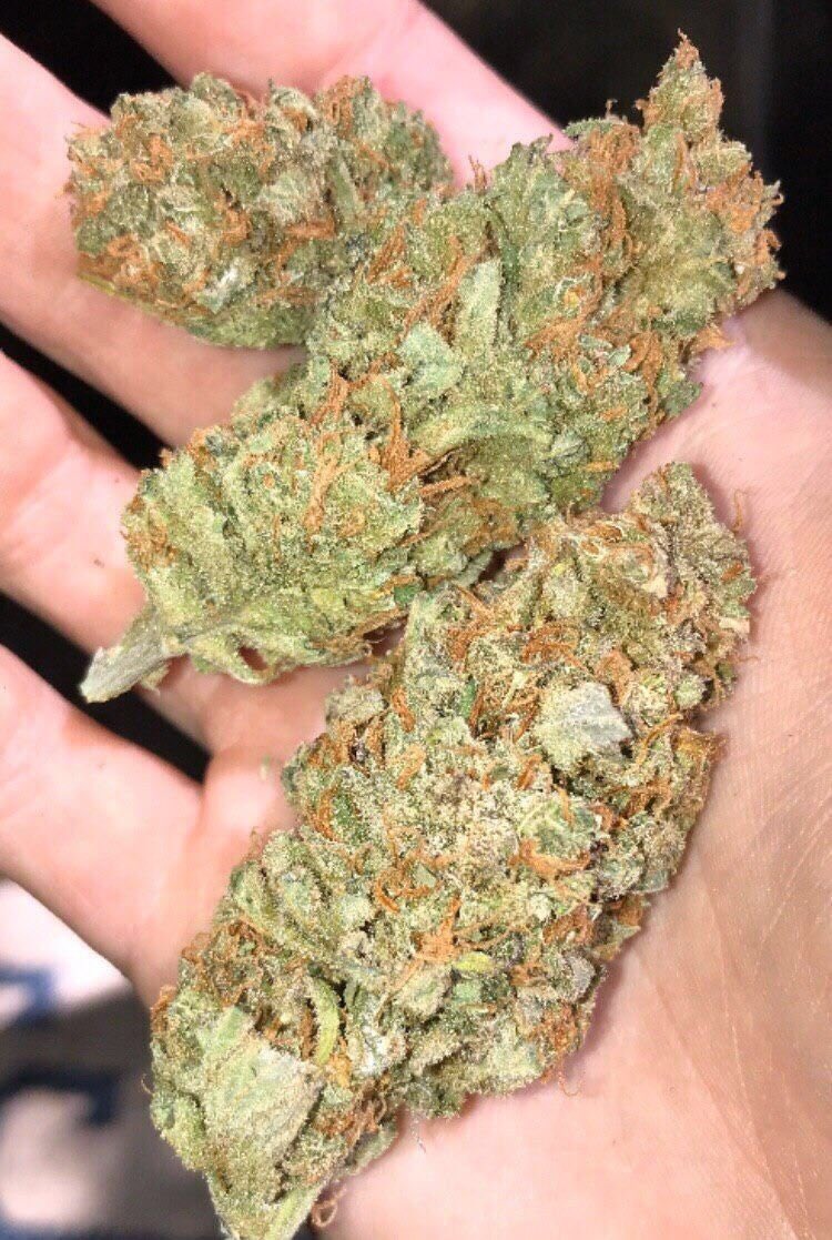 DavidPo89319817's tweet photo. Livraison🌿👇fiable rapide
Snap//pharly420
Telegram:https://t.co/RfLNwDcduL
#nice #money #joint #weed #Paris #weedfrance #FranceVerte #cannabisindustry #Bomboclaat #Bordeaux #Lyon #sainteti
#Annecy_live #beuh #rastabot #livraison
#4tchat #proverbe #calais #brest #uk #Lyon12 #Nice https://t.co/gVfdIZOmMj