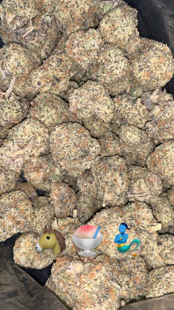 DavidPo89319817's tweet photo. Livraison🌿👇fiable rapide
Snap//pharly420
Telegram:https://t.co/RfLNwDcduL
#nice #money #joint #weed #Paris #weedfrance #FranceVerte #cannabisindustry #Bomboclaat #Bordeaux #Lyon #sainteti
#Annecy_live #beuh #rastabot #livraison
#4tchat #proverbe #calais #brest #uk #Lyon12 #Nice https://t.co/gVfdIZOmMj