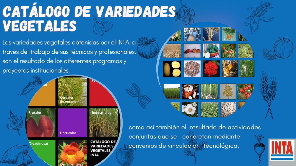 INTA Vinc.Tec. y Rel.Inst. tweet media