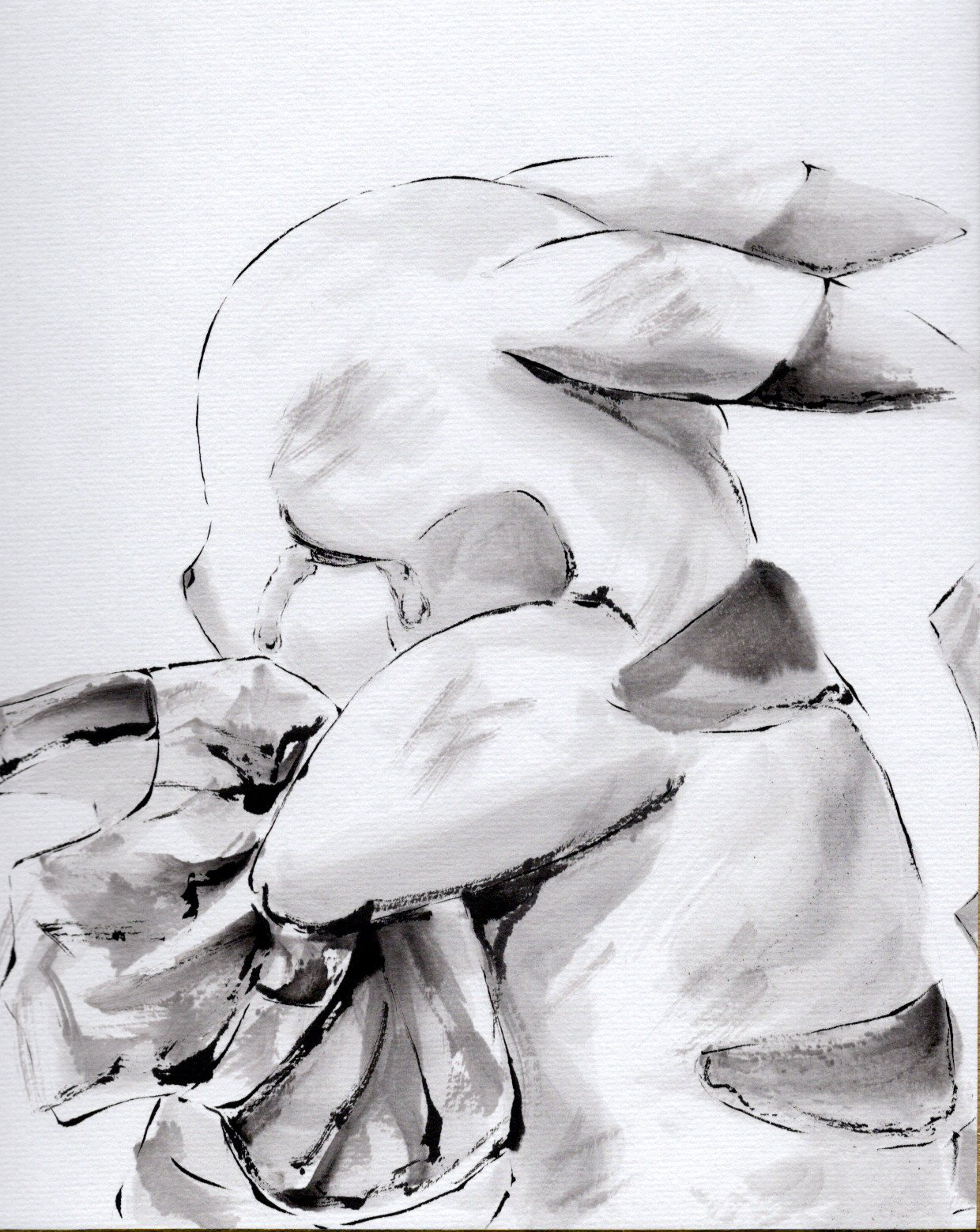 イッスン＠水墨画 India-ink drawing 絵描きはフォロバ80