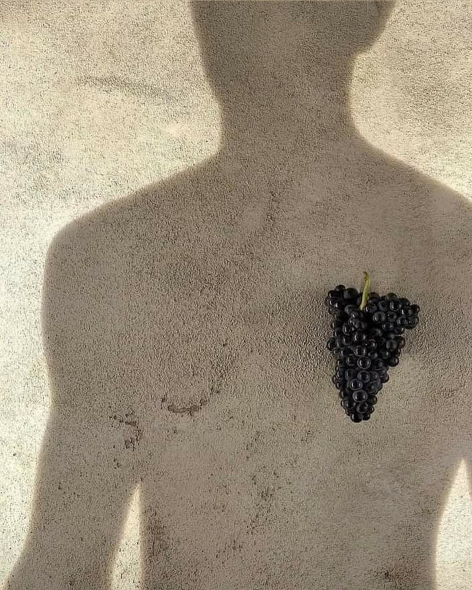 If ever there was a time to buy South African wine, it’s now 🇿🇦By supporting our industry,you are helping to support our vulnerable communities.The on-going ban on local sales of alcohol in SA has a emotional, devastating repercussion on our lively woods &amp; survival of our BRANDS.