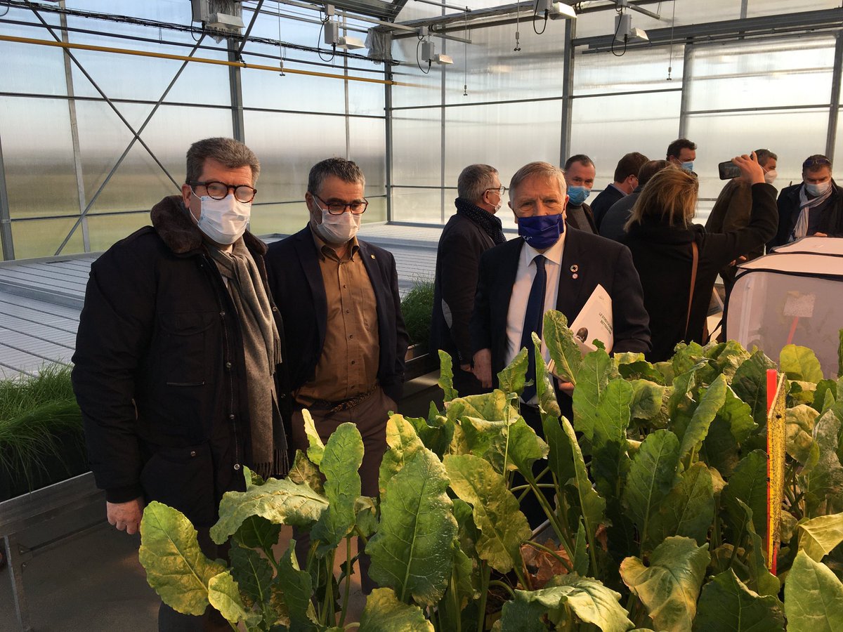 Synd. Betteravier 02 tweet media