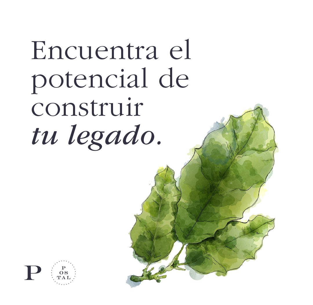 PostalQro's tweet photo. "Encuentra el potencial de construir tu legado."

Un año nuevo comenzó y con él, la oportunidad de construir un nuevo porvenir. ¿Has pensado cuál será tu legado? https://t.co/bBzy2k1axH