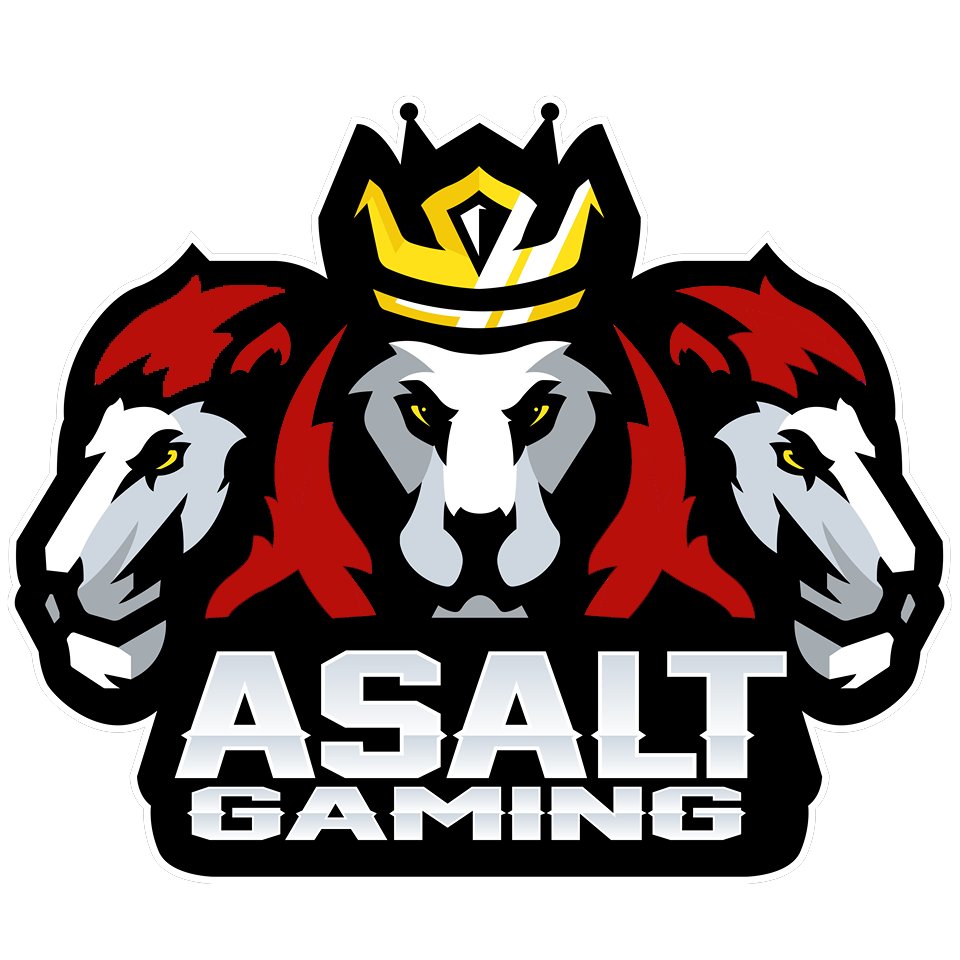 Our new logo for the upcoming season! hope it will bring us more luck 😅 <a href="/OfficialVPG/">Virtual Pro Gaming</a>