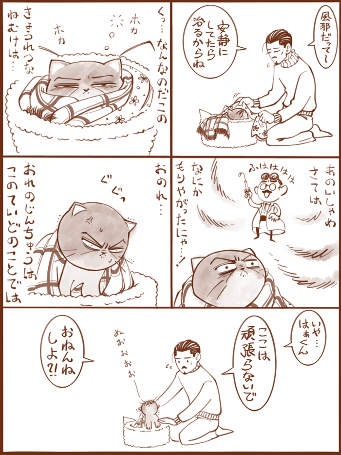 尽忠ねこ、風邪をひく 
