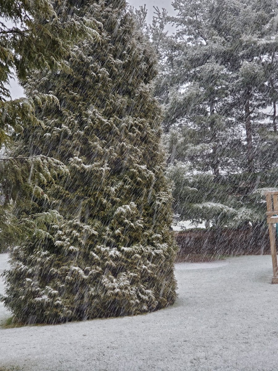 immmbop1's tweet photo. #jacksontwp @BetsyKling @JasonFrazerTV @WintzWeather https://t.co/rpV2G8n2HB