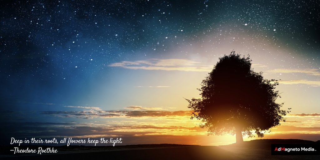 admagneto's tweet photo. #Deep in their #roots, all #flowers keep the #light. 
#TheodoreRoethke

#admagnetomedia #Reflection #thoughtoftheday #januray #newyear #entrepreneurlife #lifethoughts #SaturdayMorning  #saturdayThoughts #saturdayFeeling #SaturdayVibes  #bestDigitalMarketing #AdvertisingCampaign https://t.co/PpsEE7qAvV