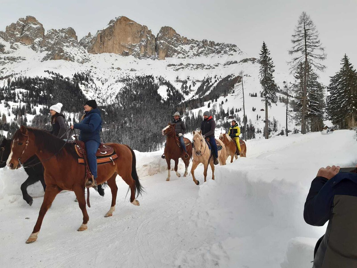 #LineaBianca torna in #AltoAdige ed esattamente in#ValdEga, fra aree sciistiche sostenibili, prodotti locali, paesaggi da sogno e attività invernali insolite.
Non perdetevi la puntata di DOMANI, 16 gennaio alle ore 14:00 su <a href="/RaiUno/">Rai1</a>. 

#Carezza #Obereggen #Latemar