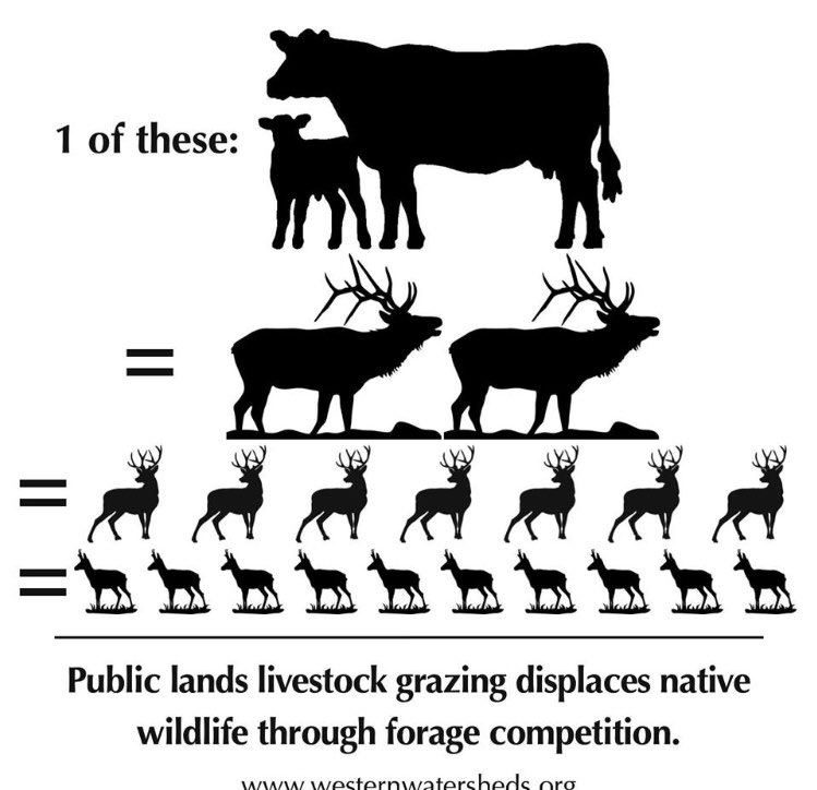 If we did nothing but Rewild the West. We could eliminate $66.5 billion in annual subsidies and spend roughly $50 billion ONCE on mostly overpasses to mitigate transportation issues with the increased density of wildlife. When numbers recoverWild game is back on the menu.