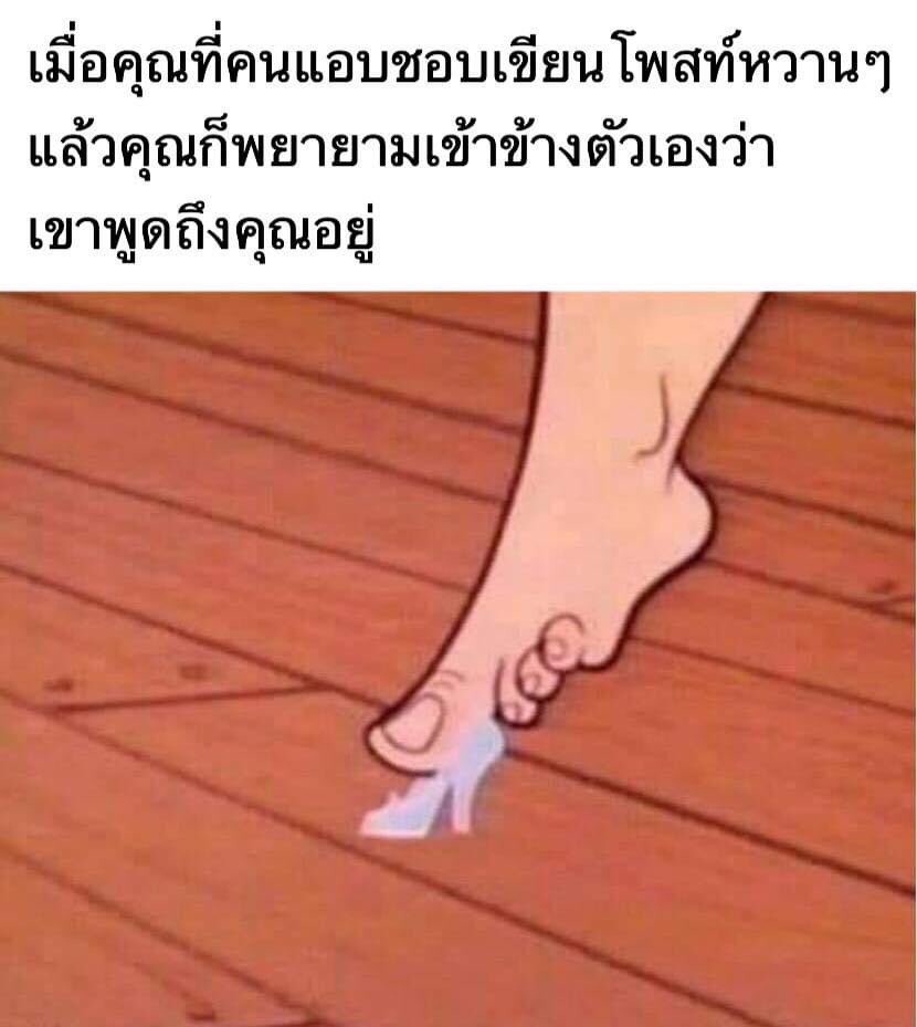 ช่างแม่ง🐰🏳️‍🌈 tweet media