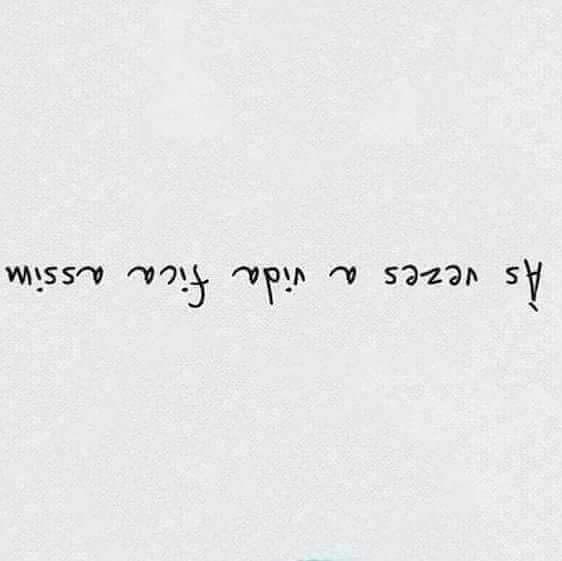 Susana Santos (@susanas63906053) on Twitter photo 