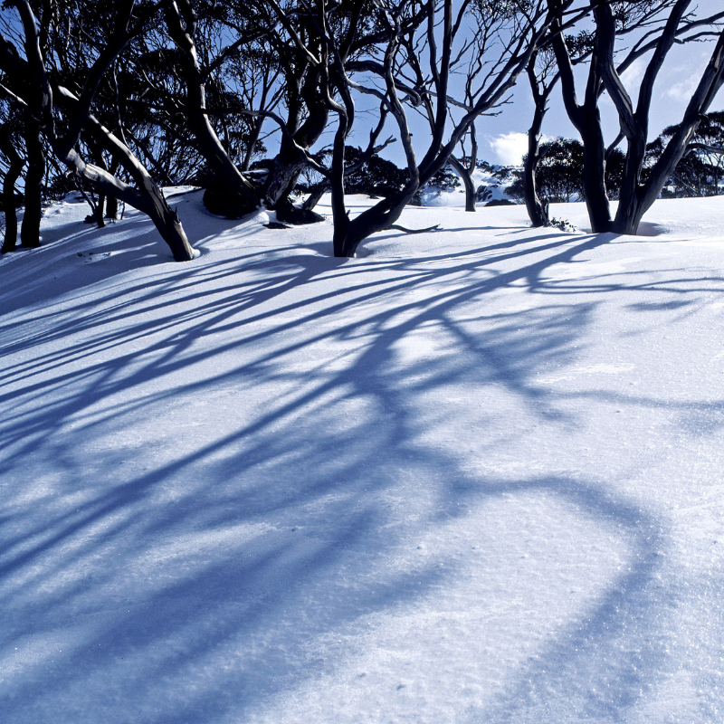 Fun Things has you covered with weekend events in Delco.bit.ly/3bIZ1AP