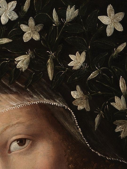 solisolsoli's tweet photo. Eyes and Natural Accessories in Art https://t.co/Ilx0KtGr9F