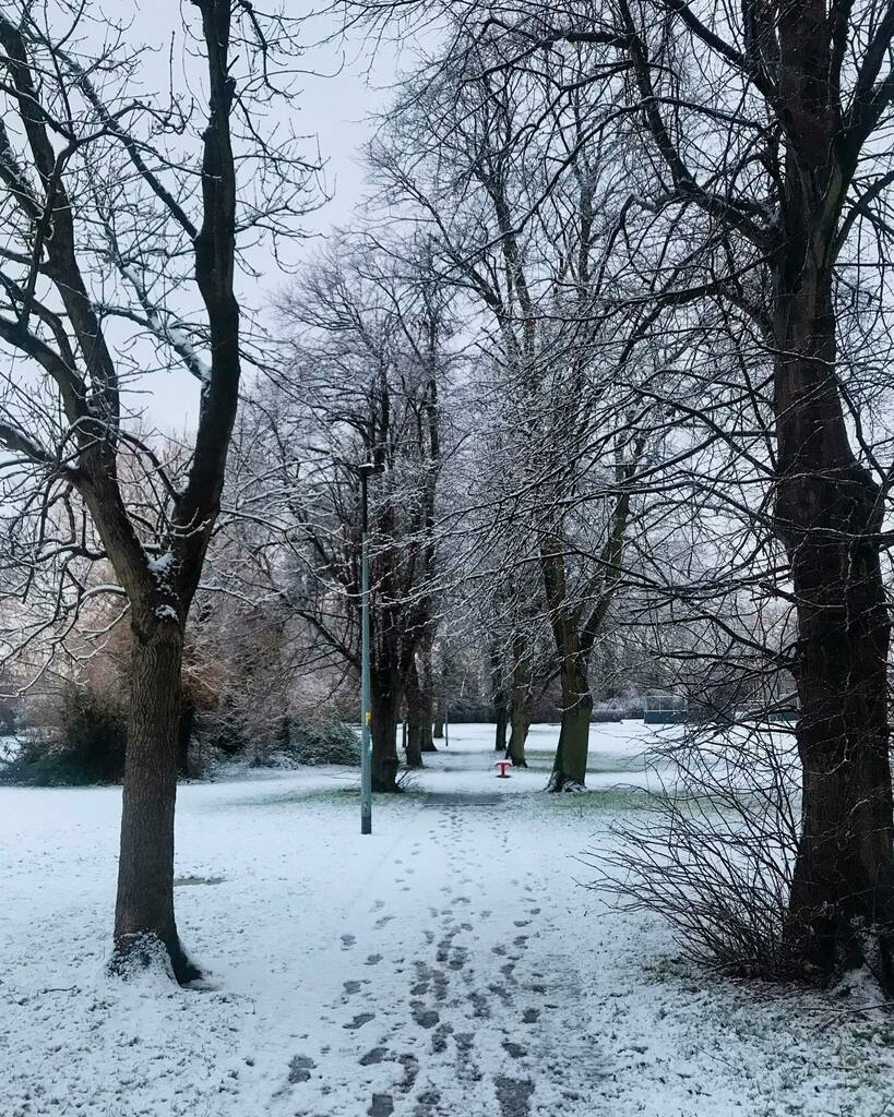 LaurenyLoves's tweet image. I love a good snow day, especially when it means work closes! We had so much snow yesterday. I can’t believe how deep it is.

#snowday #januarysnow #snowdays #yorkshire #southyorkshire #snowinthepark #snowcoveredpark #snowcoveredtrees #yorkshireinstagram… instagr.am/p/CKEytw5hmuW/