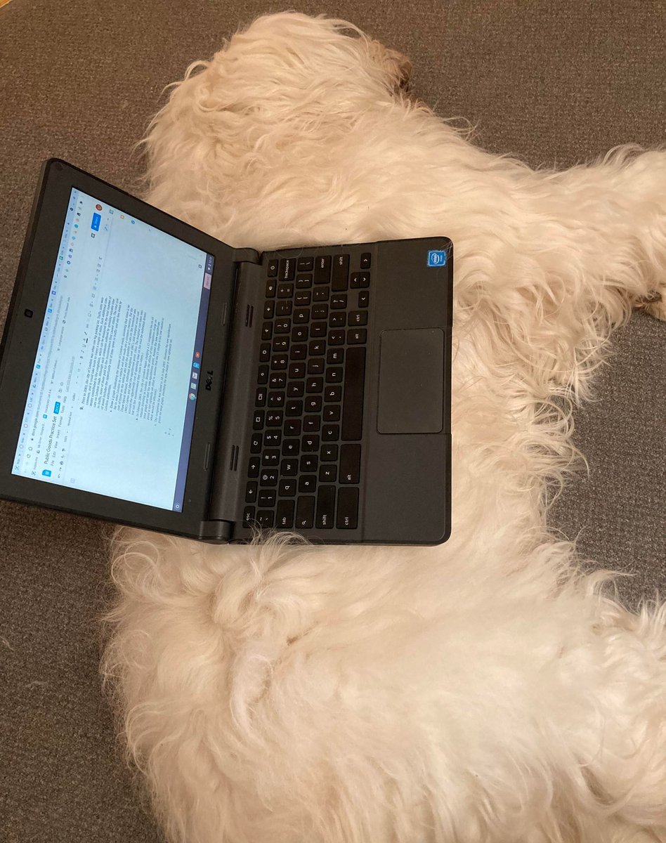 Setupsque's tweet image. 