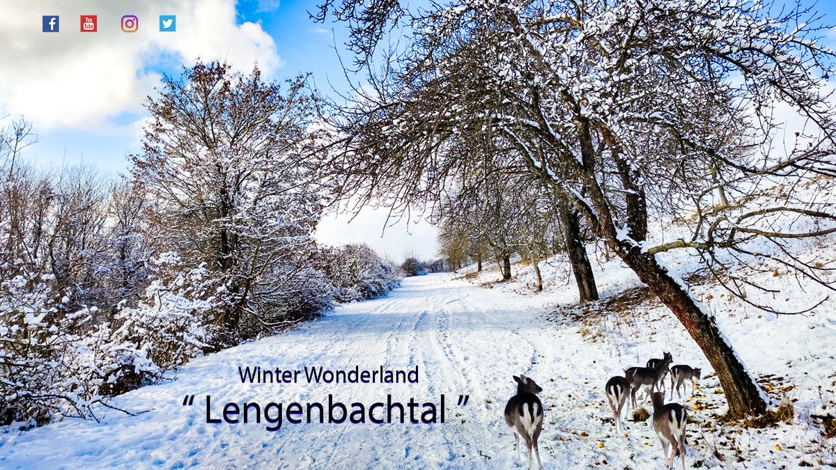 jurapix's tweet photo. New Video:
https://t.co/681jeTvJfN

#wandern #trekking #winterwonderland #snow #winter #lengenbachtal #neumarkt #neumarktinderoberpfalz #oberpfalz #bayern #wanderninbayern #outdoor #video #youtube #jurapix #ausflug #urlaub #sport https://t.co/Ap8oqLchAf
