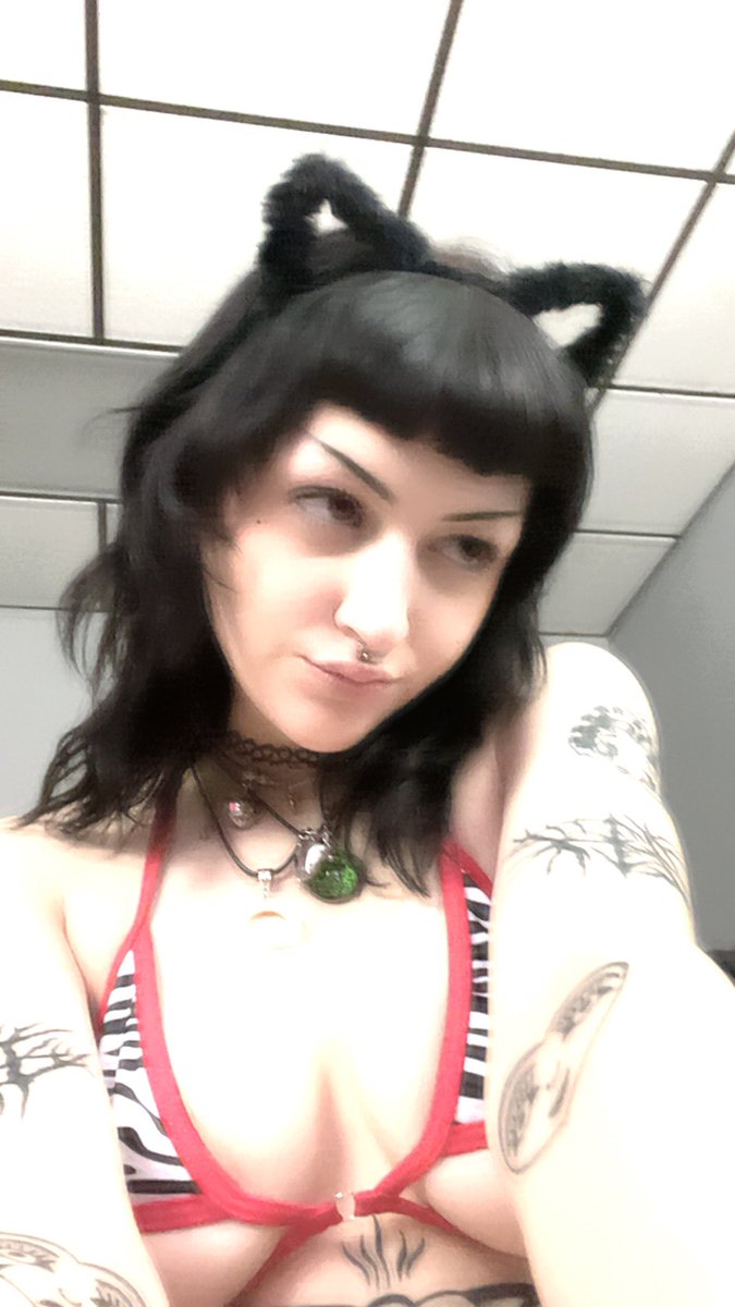 marsxo217's tweet photo. Kitty needs to be fed https://t.co/FYX9pN1HmR