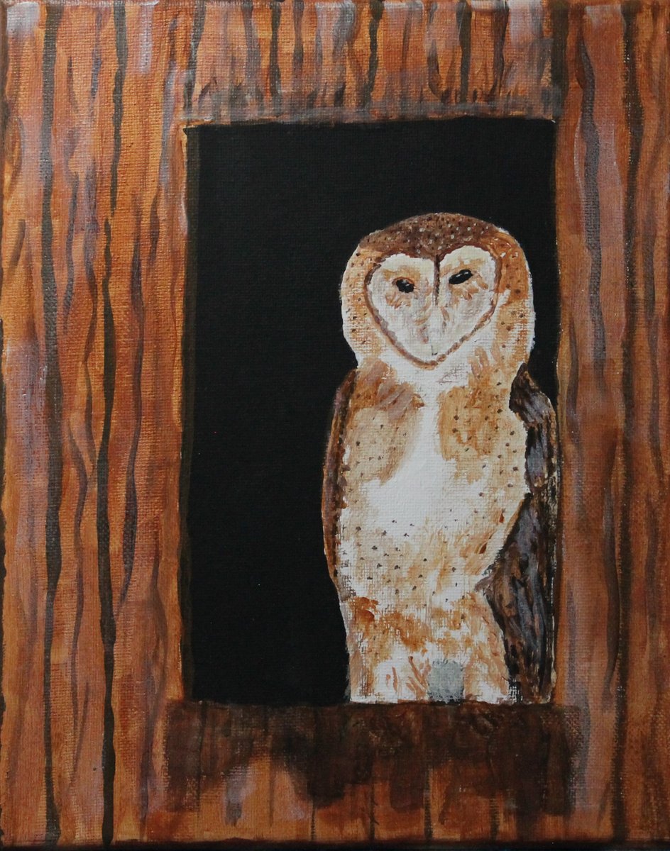 Excited to share the latest addition to my #etsy shop: Barn Owl. Original 8 x 10 inch acrylic painting on Stretched Canvas by Colorado artist Gary Benson etsy.me/3nMCc1z #unframed #bedroom #animal #vertical #stretchedcanvas #barnowl #barnowlpainting #barnowlart
