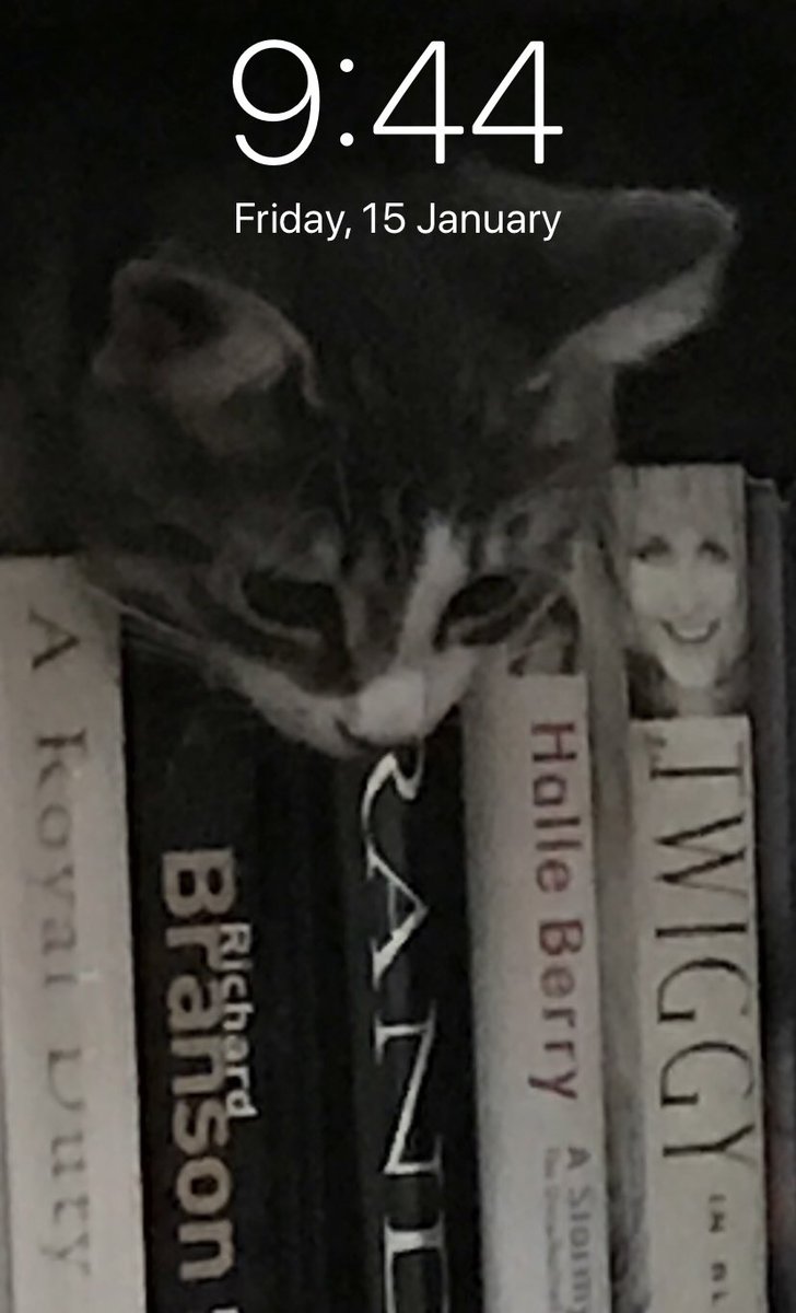 FionaMcmurdo's tweet photo. @369Stringer Answer:- Mirror Back - Black Screen | U Touch the CHILDREN #YOUDIE End of Fuckin Story #DoYouFeelMyThunder ? https://t.co/js93hXfnIh