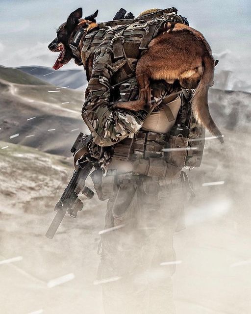 MWD_Mag's tweet photo. Repost @hillejames_combatphotographer
・・・
FUR MISSILE.
#operator #k9 #korpscommandotroepen #commandotroepen #commandos #sof #socom #sf #specialforces #tactical #tacticalgear #everyday_tactical #greenberet #kct #dog #portrait https://t.co/714nyDi0TS