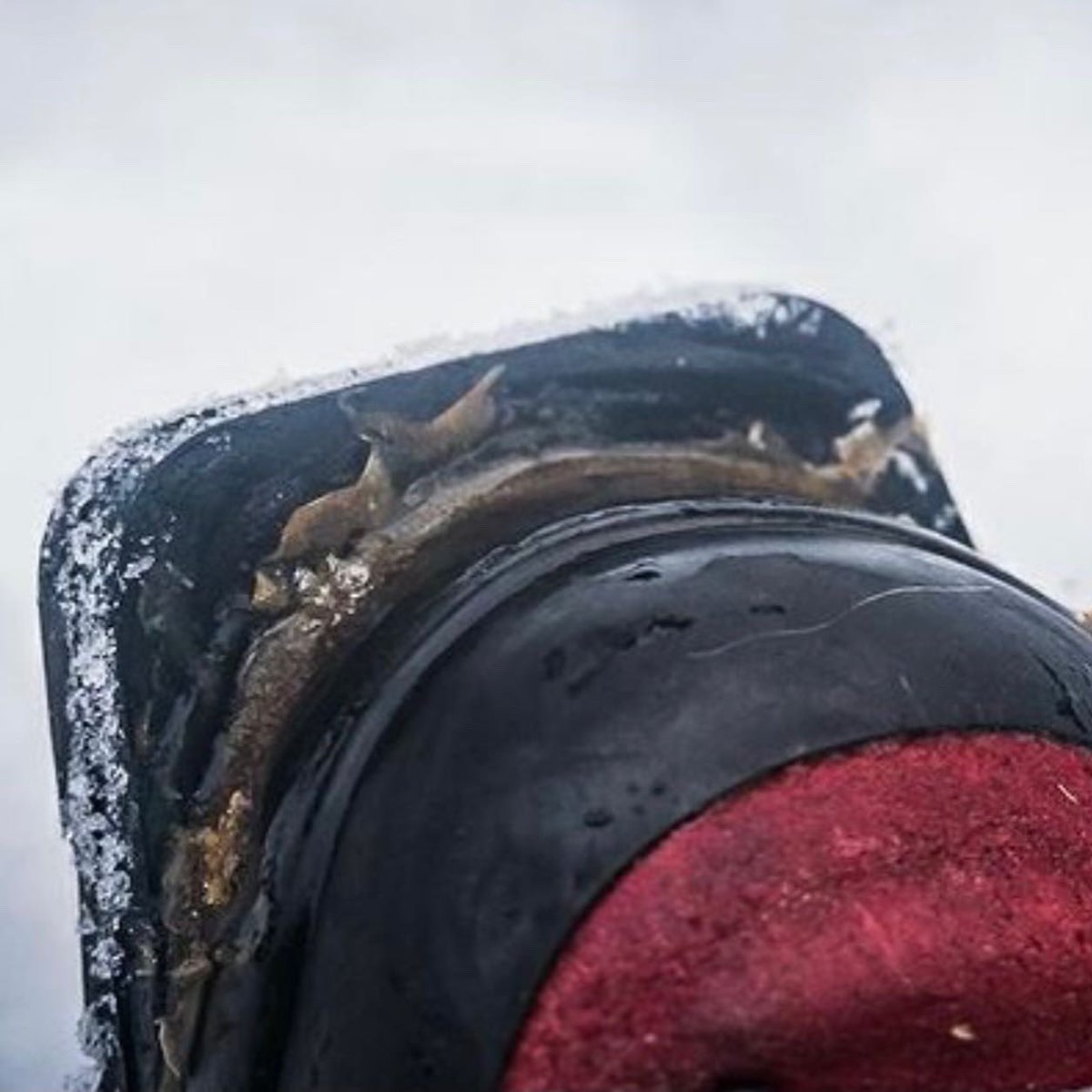 Ski boot #repair with Stormsure in Norway. 
📍Vikafjell, Norway