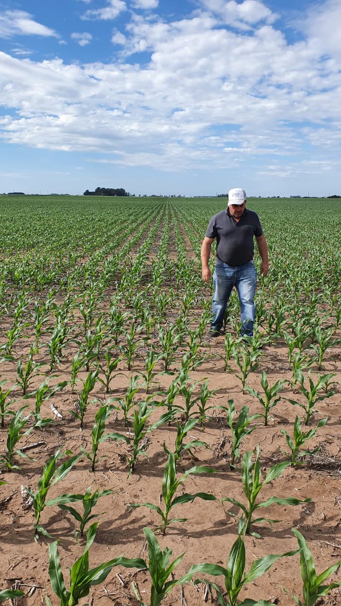 Mariano Martinez tweet media