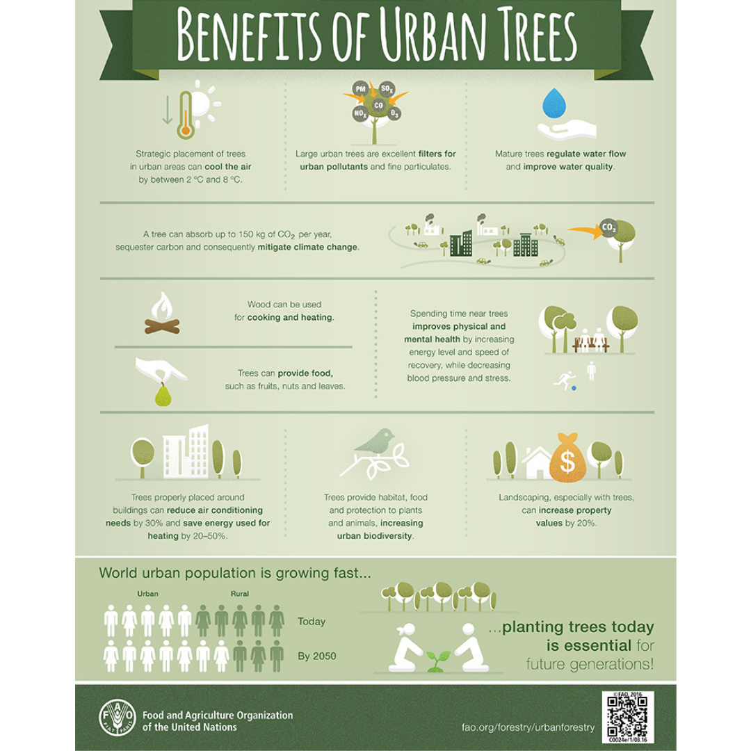 gigitheplanner's tweet image. Every planner knows how important urban trees are for healthy and successful cities. This infographic has some helpful facts and figures on why! #urbanplanning #urbanplanner #urbanplanners #cityplanner #cityplanners #cityplanning #urbantrees #trees #urbangreen