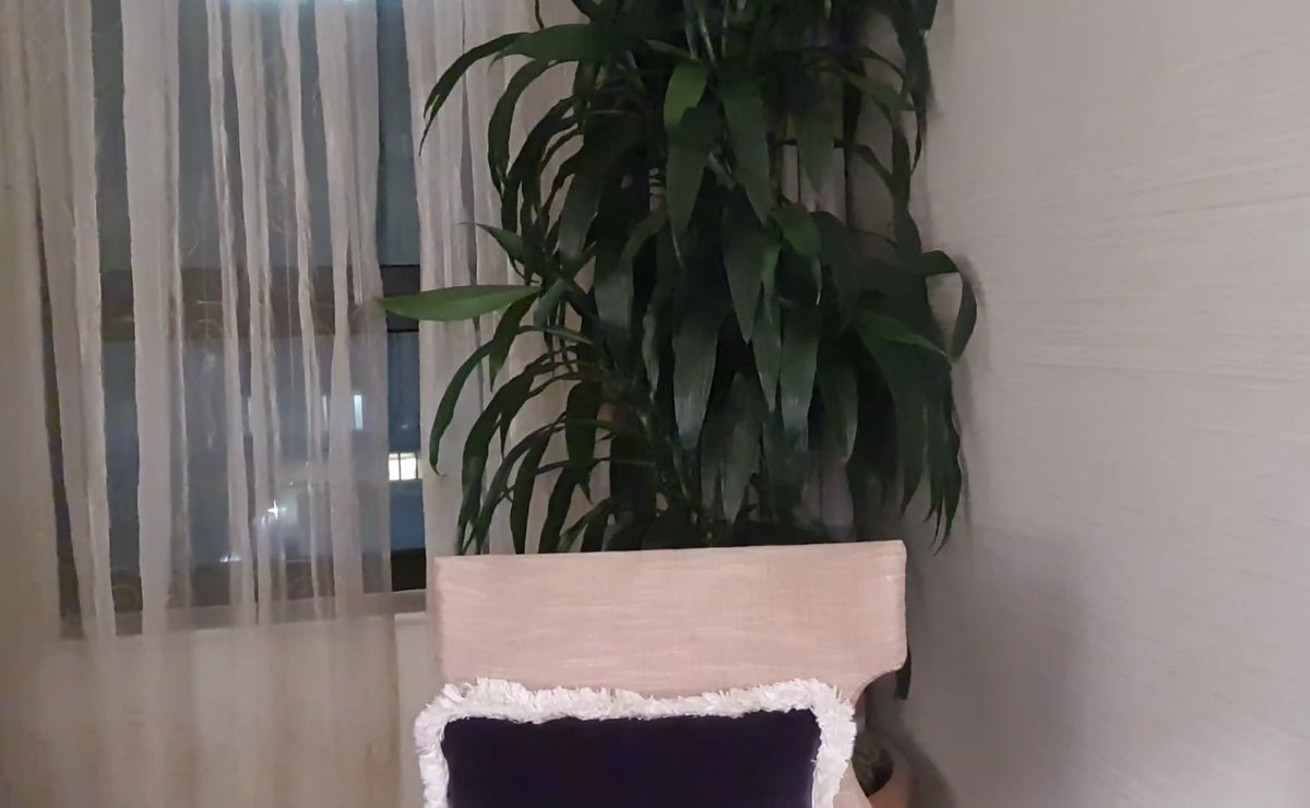 reposting this bcs I accidentally deleted the other one 