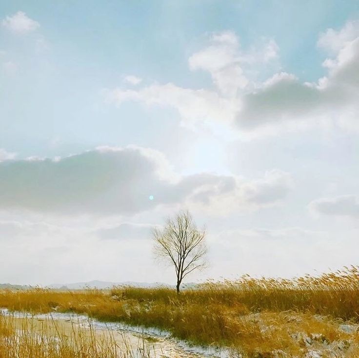 reposting this bcs I accidentally deleted the other one 