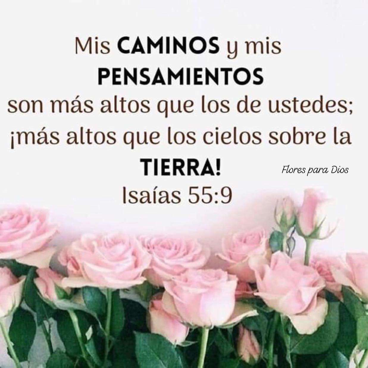 Loren Castillo on Twitter: "Feliz Viernes, las cosas que hemos planeado, no  siempre salen como esperamos, pero Dios siempre tiene la manera de  bendecirnos.🌸🙌🌸 Isaías 55:9 Mis caminos y mis pensamientos son