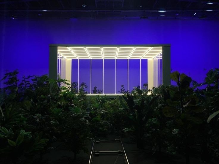 reposting this bcs I accidentally deleted the other one 