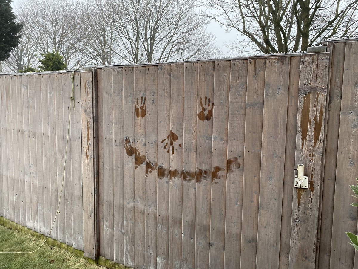 Happy Friday from Frosty Fence Face