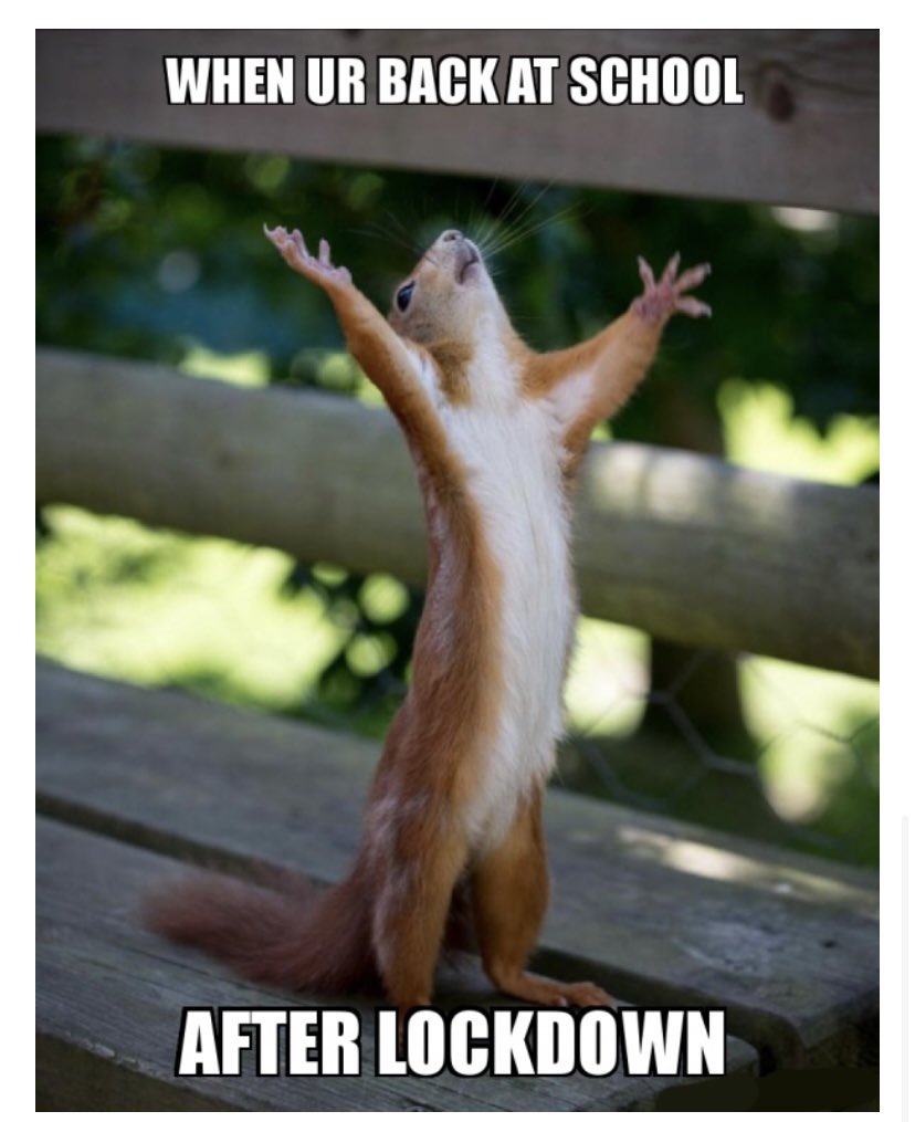 SHHSHammersmith's tweet photo. Feel GOOD Friday! #lockdownmeme #keystage3challenge #laughter https://t.co/DqRwf8dNNw