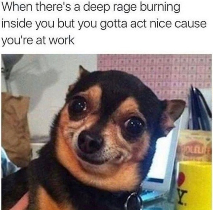 K9Nature's tweet photo. Who can relate to this? 😂 https://t.co/k5QzSL2mRK