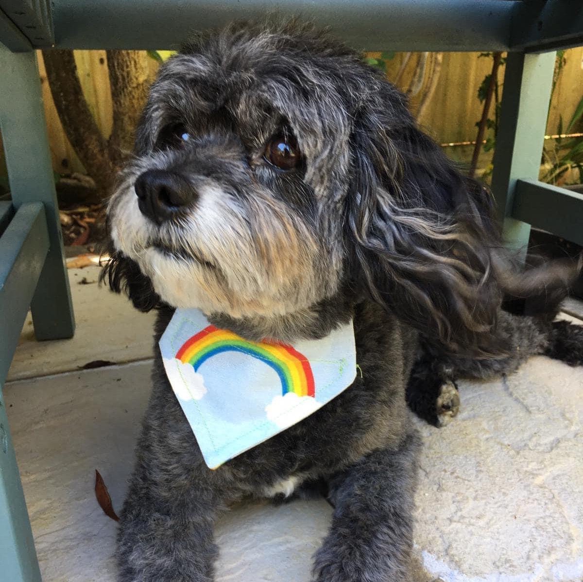 ella_savage's tweet photo. Excited to share this item from my #etsy shop: NHS Dog Bandanas https://t.co/FJW5EJBFLa https://t.co/iNQJgc3tTs