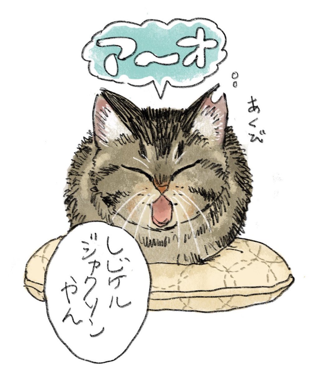 今日のしじみちゃん 