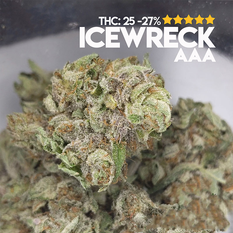 This is a true gem. #icewreck #torontodispensary