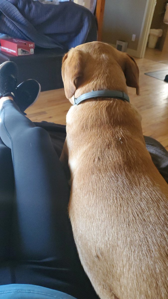 tmgaitan's tweet image. This dude thinks he's allowed to get up here...#labby