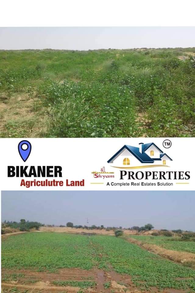 ljitendersharma's tweet photo. #MotivationalQuotes || Everything is a risk. Not doing. anything is a biggest risk. It is totally up to you. || #panditjitenderdevnagar #entrepreneur #RealtyUpdate #RealEstateNews https://t.co/tcAlcMSgAj