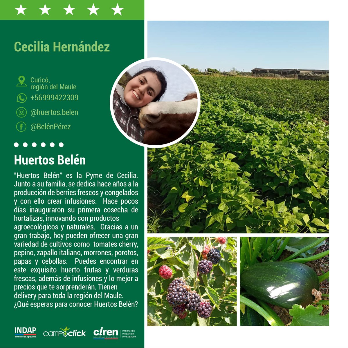 CIREN_CHILE's tweet photo. Huertos Belén es un emprendimiento directo del campo a la mesa de todos los chilenos!! Recuerda que puedes recorrer Chile y encontrar los mejores productos de la mano de sus productores en tu celular descargando la aplicación #CampoClick ¡Hay más de 4.300 productores esperandote! https://t.co/1ETV8FW6qq