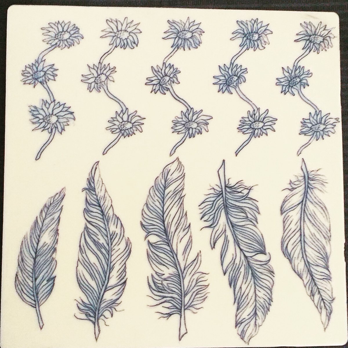 TheCatsTats's tweet photo. Feathers and daisies on fake skin π
#tattoo #tattoos #tattooideas #tattooartist #tattooedgirls #tattoofeminina #tattoosleeve #tattooist #inkart #inking #inkdrawing #inkart #inkingart #inked #inkrush #inkonskytattoo #inkrushtattoo #linetattoo https://t.co/hd2aEyTdgA