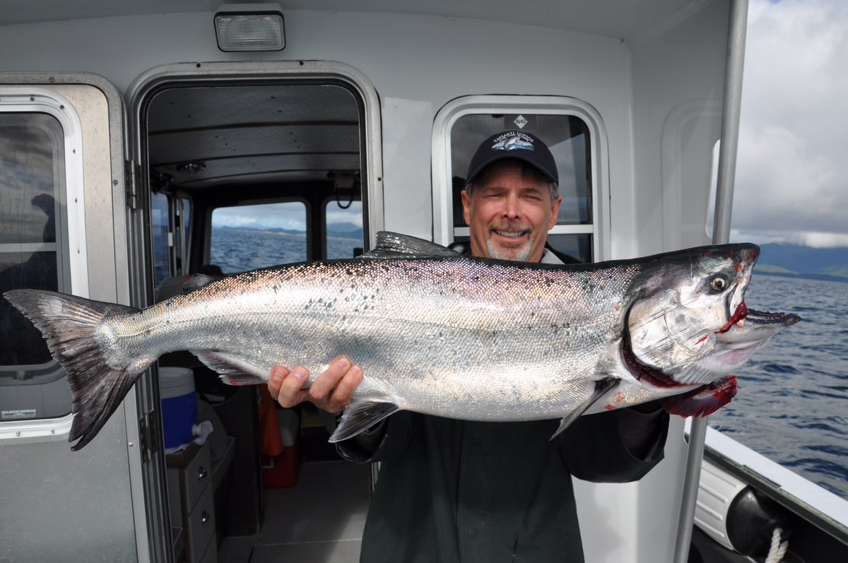 If you have had a dream of working in Alaska it might be your lucky year! We are looking for a few deckhands for this upcoming summer! Message us for more information!